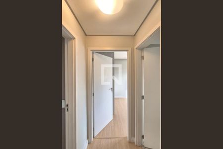 Corredor de apartamento para alugar com 2 quartos, 47m² em Cidade Satélite Íris, Campinas
