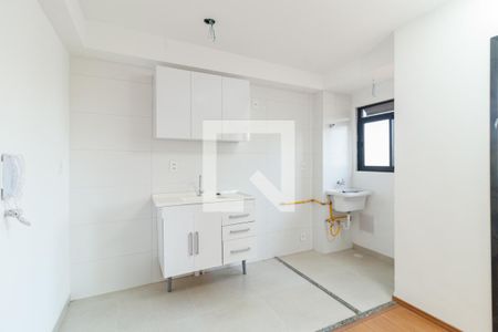 Cozinha e Área de Serviço de apartamento para alugar com 2 quartos, 44m² em Vila Gustavo, São Paulo