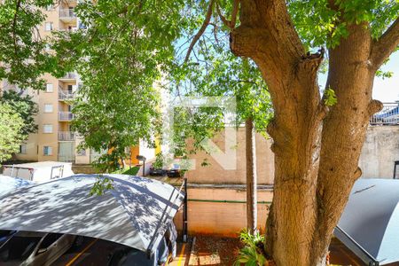 Apartamento à venda com 3 quartos, 77m² em Vila das Belezas, São Paulo
