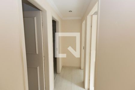 Corredor dos Quartos de apartamento para alugar com 3 quartos, 78m² em Santo Antônio, Belo Horizonte