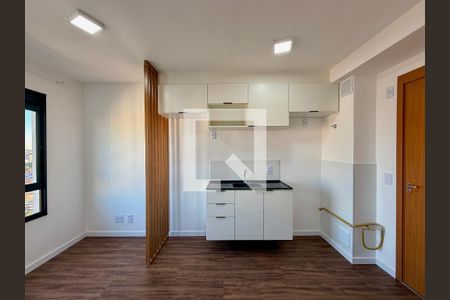 Cozinha  de apartamento para alugar com 1 quarto, 24m² em Vila das Belezas, São Paulo