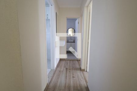 Corredor de apartamento para alugar com 2 quartos, 59m² em Parque Sao Vicente, Santo André
