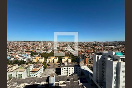 Quarto 1 de apartamento à venda com 2 quartos, 126m² em Alípio de Melo, Belo Horizonte