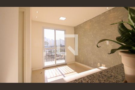 Apartamento para alugar com 2 quartos, 46m² em Vila Antonieta, São Paulo