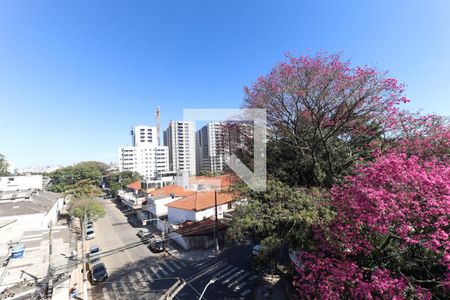 Apartamento para alugar com 2 quartos, 76m² em Vila Guilherme, São Paulo