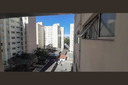 Vista da Sala de apartamento para alugar com 3 quartos, 60m² em Piratininga, Osasco