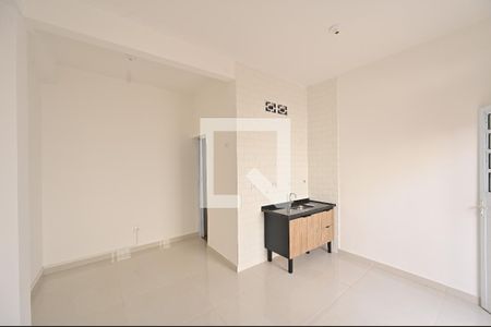 Sala/Quarto de kitnet/studio para alugar com 1 quarto, 20m² em Planalto Paulista, São Paulo
