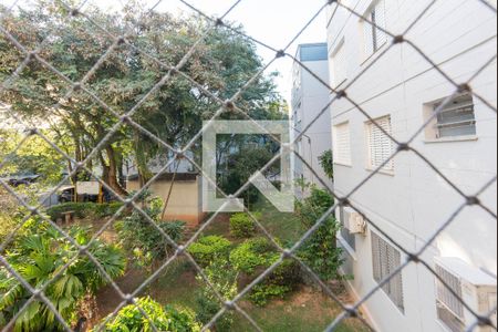 Vista do Quarto 1 de apartamento à venda com 3 quartos, 77m² em Vila Mimosa, Campinas