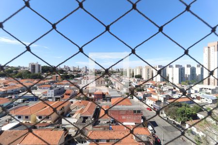 Apartamento para alugar com 3 quartos, 78m² em Vila Guilherme, São Paulo