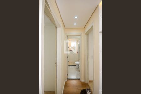 Corredor de apartamento para alugar com 2 quartos, 48m² em Loteamento City Jaragua, São Paulo