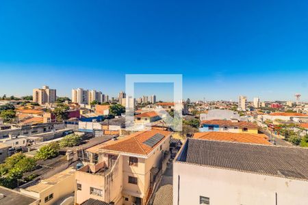 Kitnet/Studio para alugar com 2 quartos, 175m² em Vila Santa Catarina, São Paulo