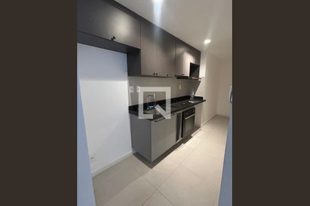 Cozinha de apartamento para alugar com 1 quarto, 50m² em Laranjeiras, Rio de Janeiro