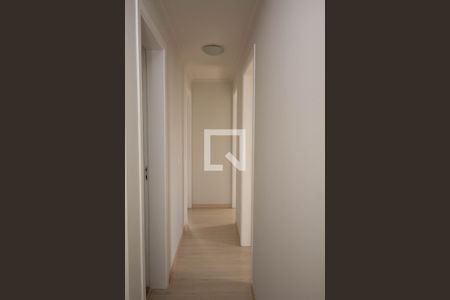 Corredor de apartamento para alugar com 3 quartos, 77m² em Picanço, Guarulhos