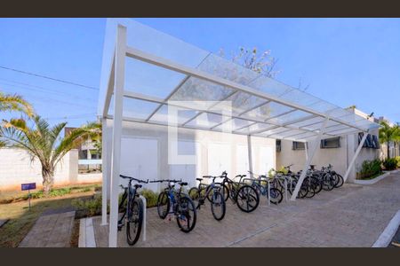 Apartamento para alugar com 2 quartos, 46m² em Cabral, Contagem