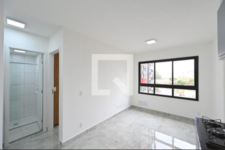 Sala de apartamento para alugar com 1 quarto, 30m² em Planalto Paulista, São Paulo
