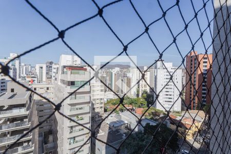 Apartamento para alugar com 4 quartos, 250m² em Lourdes, Belo Horizonte