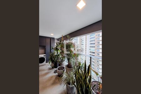 Varanda da Sala de apartamento para alugar com 2 quartos, 66m² em Vila Mariana, São Paulo