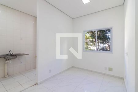 Sala de apartamento para alugar com 2 quartos, 42m² em Vila Nova Cachoeirinha, São Paulo