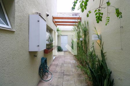 Casa para alugar com 3 quartos, 250m² em Itaim Bibi, São Paulo