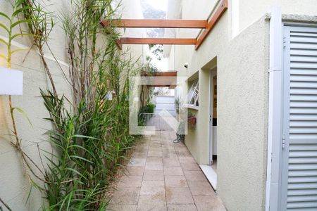 Casa para alugar com 3 quartos, 250m² em Itaim Bibi, São Paulo