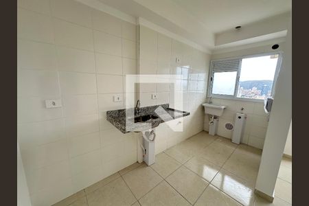 Cozinha de apartamento para alugar com 2 quartos, 46m² em Parque Sao Vicente, São Vicente