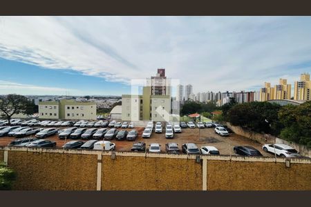Apartamento para alugar com 3 quartos, 87m² em Fazenda Santa Cândida, Campinas