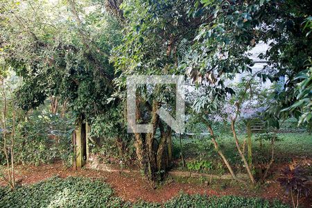  Vista de apartamento para alugar com 1 quarto, 36m² em Petrópolis, Porto Alegre