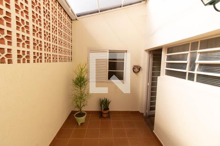 ÁREA DE LUZ de casa para alugar com 3 quartos, 135m² em Parque Taquaral, Campinas