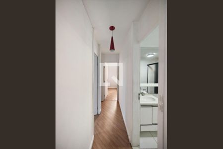 Corredor - Quartos de apartamento para alugar com 3 quartos, 62m² em Vila Guilherme, São Paulo