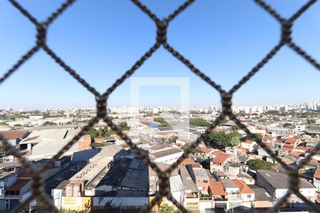 Apartamento à venda com 3 quartos, 77m² em Parque Novo Mundo, São Paulo
