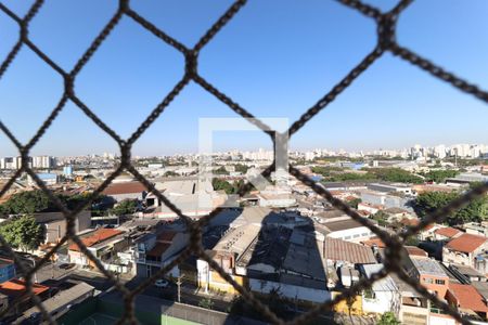 Apartamento à venda com 3 quartos, 77m² em Parque Novo Mundo, São Paulo