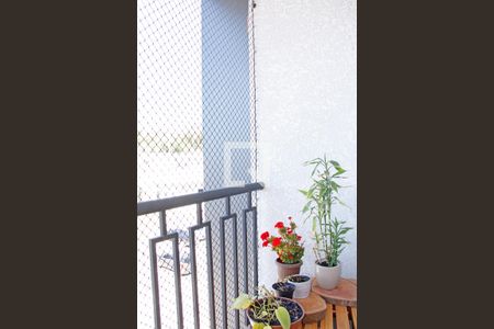Apartamento para alugar com 2 quartos, 59m² em Vila Renascer, Vinhedo
