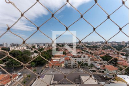 Vista da Suíte de apartamento para alugar com 2 quartos, 55m² em São Bernardo, Campinas