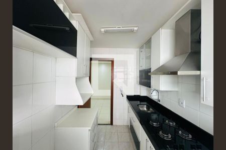 Cozinha de apartamento para alugar com 2 quartos, 80m² em Santa Branca, Belo Horizonte
