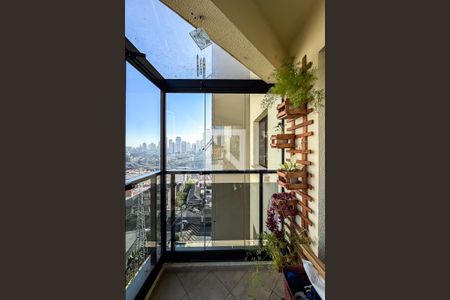 Varanda da Sala de apartamento para alugar com 3 quartos, 83m² em Vila Bertioga, São Paulo