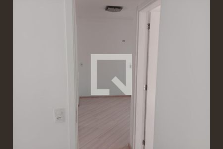 Corredor de apartamento à venda com 2 quartos, 38m² em Jardim Albertina, Guarulhos