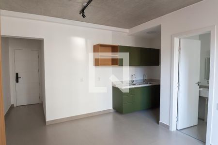sala / quarto  de kitnet/studio para alugar com 1 quarto, 30m² em Lourdes, Belo Horizonte