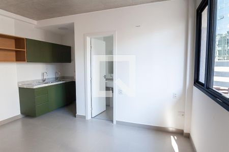 sala / quarto  de kitnet/studio para alugar com 1 quarto, 30m² em Lourdes, Belo Horizonte