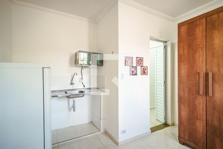 Quarto/Sala de kitnet/studio para alugar com 1 quarto, 25m² em Vila Butantã, São Paulo