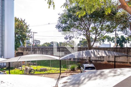 Vista Quarto 1 de apartamento para alugar com 2 quartos, 47m² em Jardim Recanto, Americana