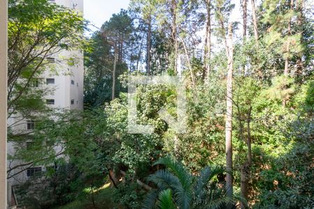 Vista da Sala de apartamento para alugar com 2 quartos, 60m² em Vila Paulista, São Paulo