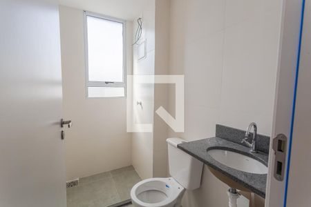Banheiro da Suíte de apartamento para alugar com 2 quartos, 65m² em Nova Vista, Belo Horizonte