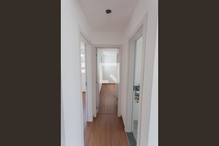 Corredor de apartamento para alugar com 2 quartos, 65m² em Nova Vista, Belo Horizonte