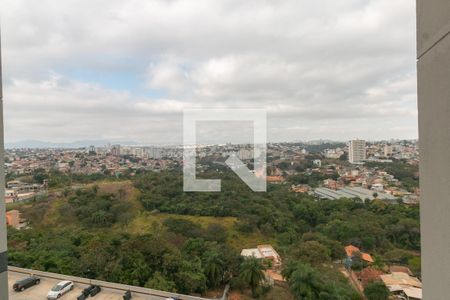 Apartamento para alugar com 2 quartos, 45m² em Juliana, Belo Horizonte