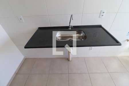 Cozinha  de apartamento para alugar com 2 quartos, 40m² em Chácaras Pedro Corrêa de Carvalho, Ribeirão Preto