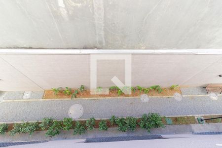 Vista Sala de apartamento para alugar com 2 quartos, 34m² em Freguesia do Ó, São Paulo