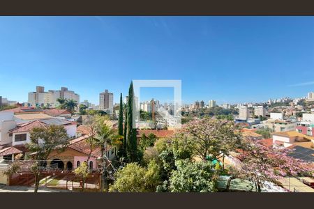 Apartamento à venda com 4 quartos, 287m² em Castelo, Belo Horizonte