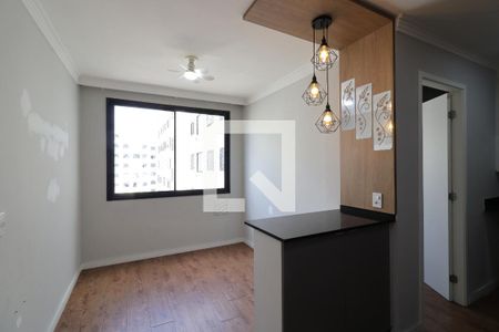 Apartamento para alugar em Jurubatuba