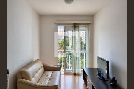 Apartamento para alugar em Pinheiros