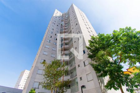 Apartamento para alugar em Vila Prudente